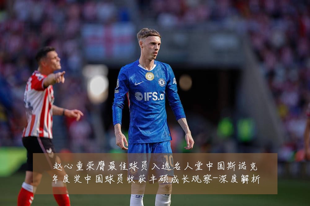 赵心童荣膺最佳球员入选名人堂中国斯诺克年度奖中国球员收获丰硕成长观察-深度解析
